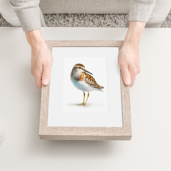 Watercolor Sandpiper Bird Portrait Wall Art Print, Unframed - Coastal Serenity - Picture 6 of 7